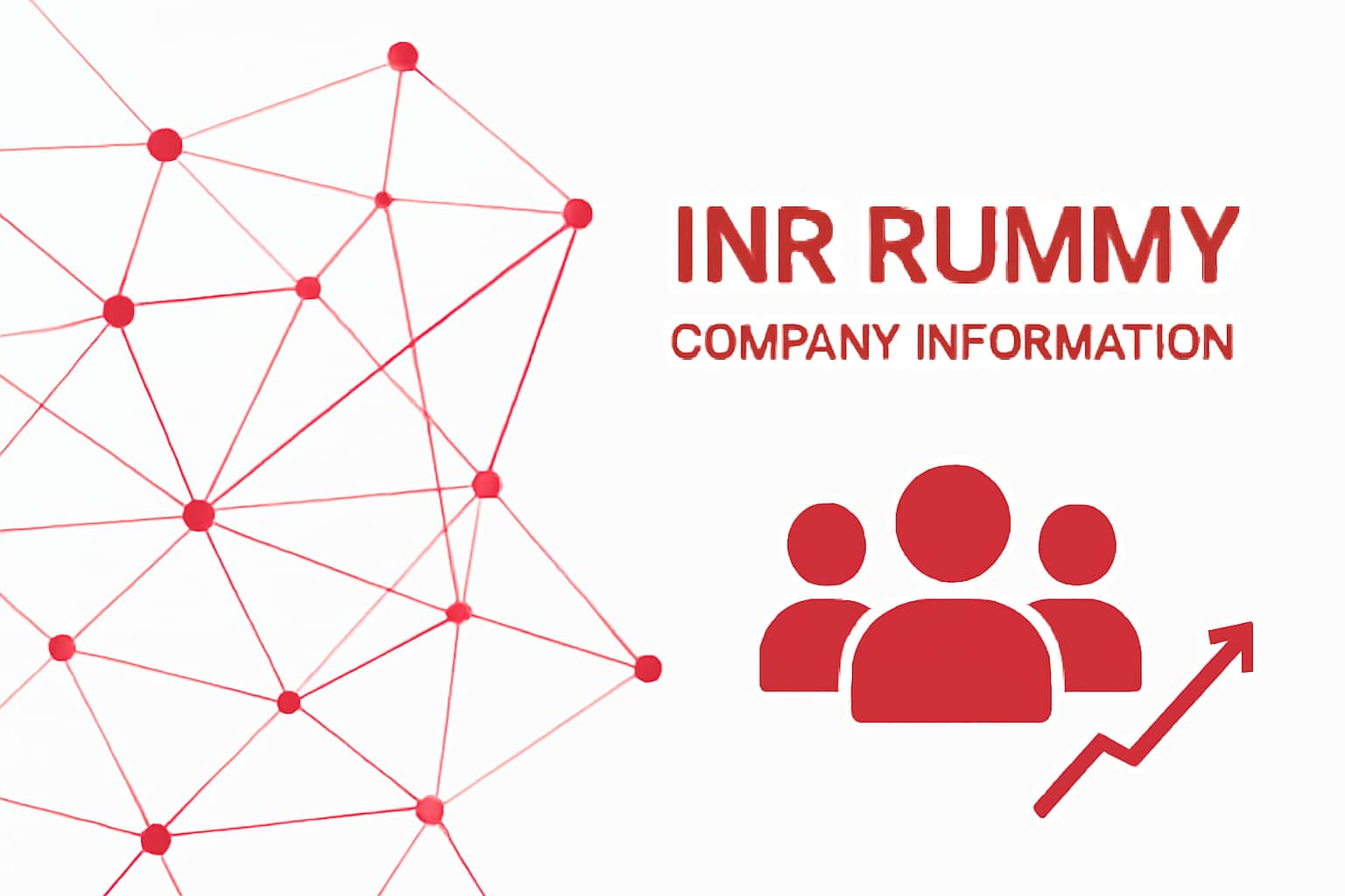 INR Rummy Company Information Interface